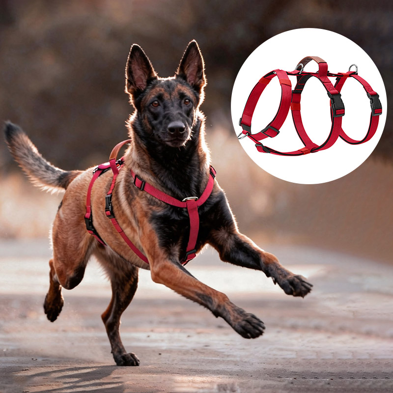 No Pull Dog Harness - Ontsnappingsbestendig nylon hondenharnas met handvat Verstelbaar