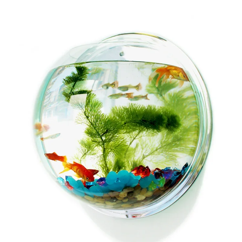 Pet Supplies Fish - Pinsjar Acryl Viskom Muuropknoping Aquarium Tank