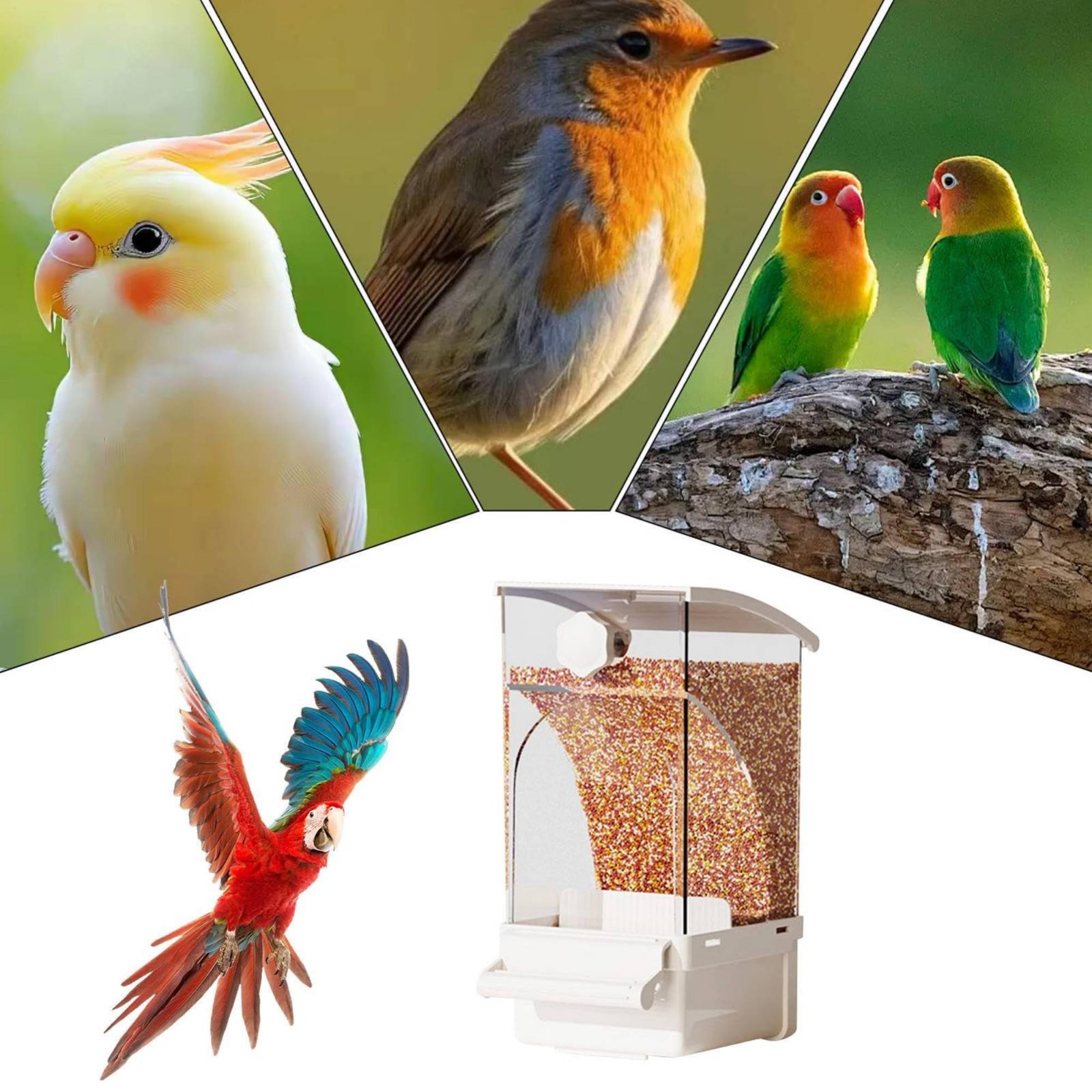 Pet Supplies Us - Automatische voederbak voor vogels, schilafscheider, geen
