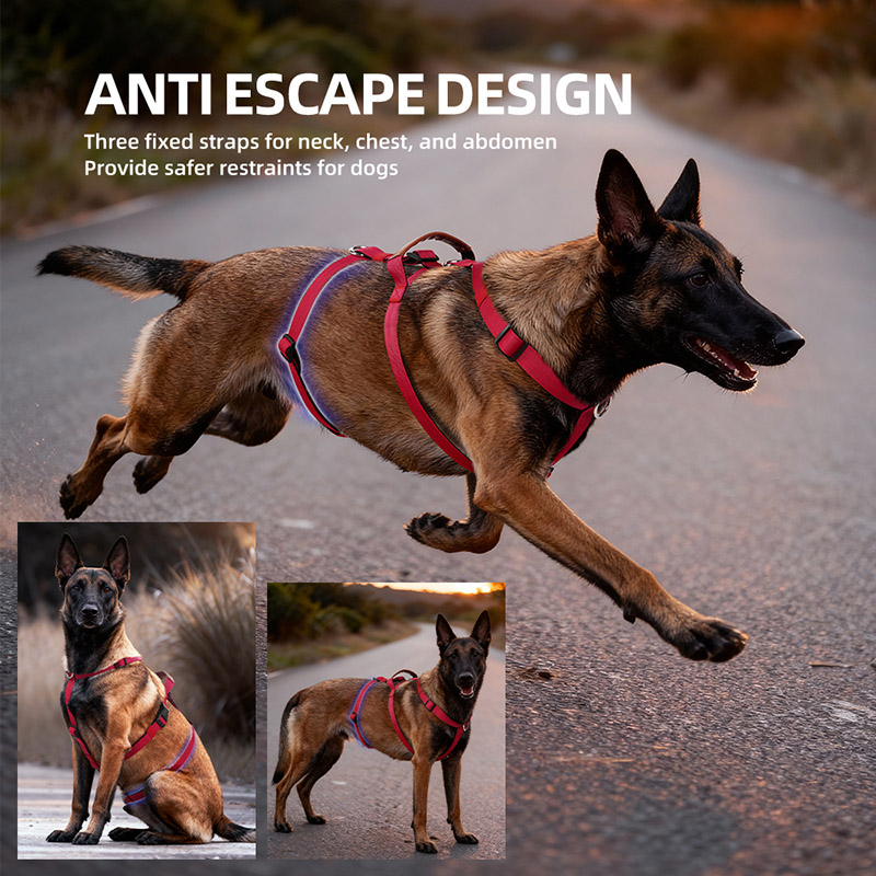 Ontsnappingsbestendig nylon ho - No Pull Dog Harness recensie en prijs