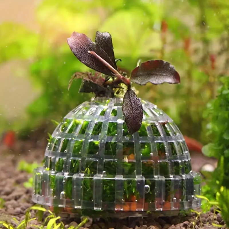 Plastic Aquarium Mos Bal Filte - Pet Supplies Fish recensie en prijs