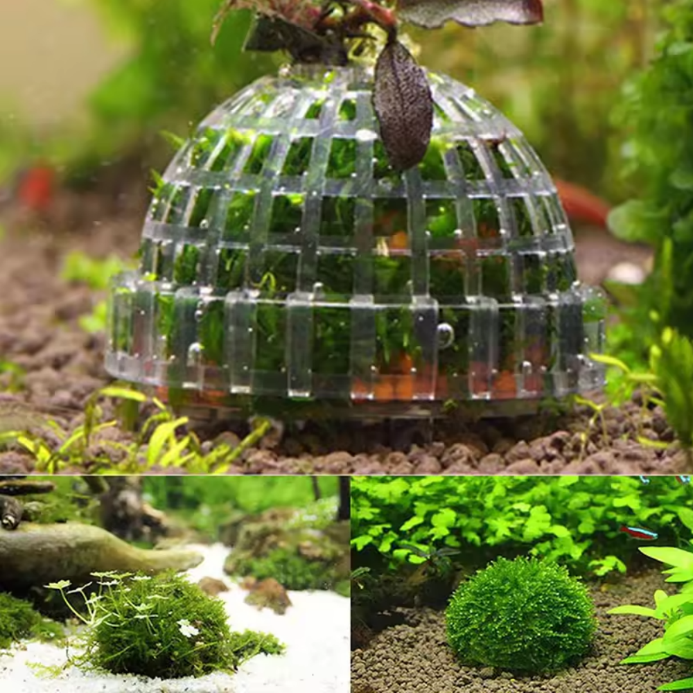 Plastic Aquarium Mos Bal Filte - Pet Supplies Fish recensie en prijs