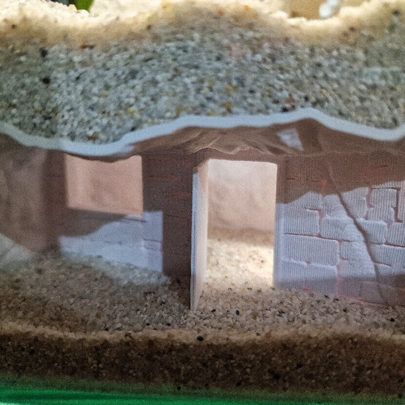 3D-geprint geheim huisje visaq - Pet Supplies Online recensie en prijs