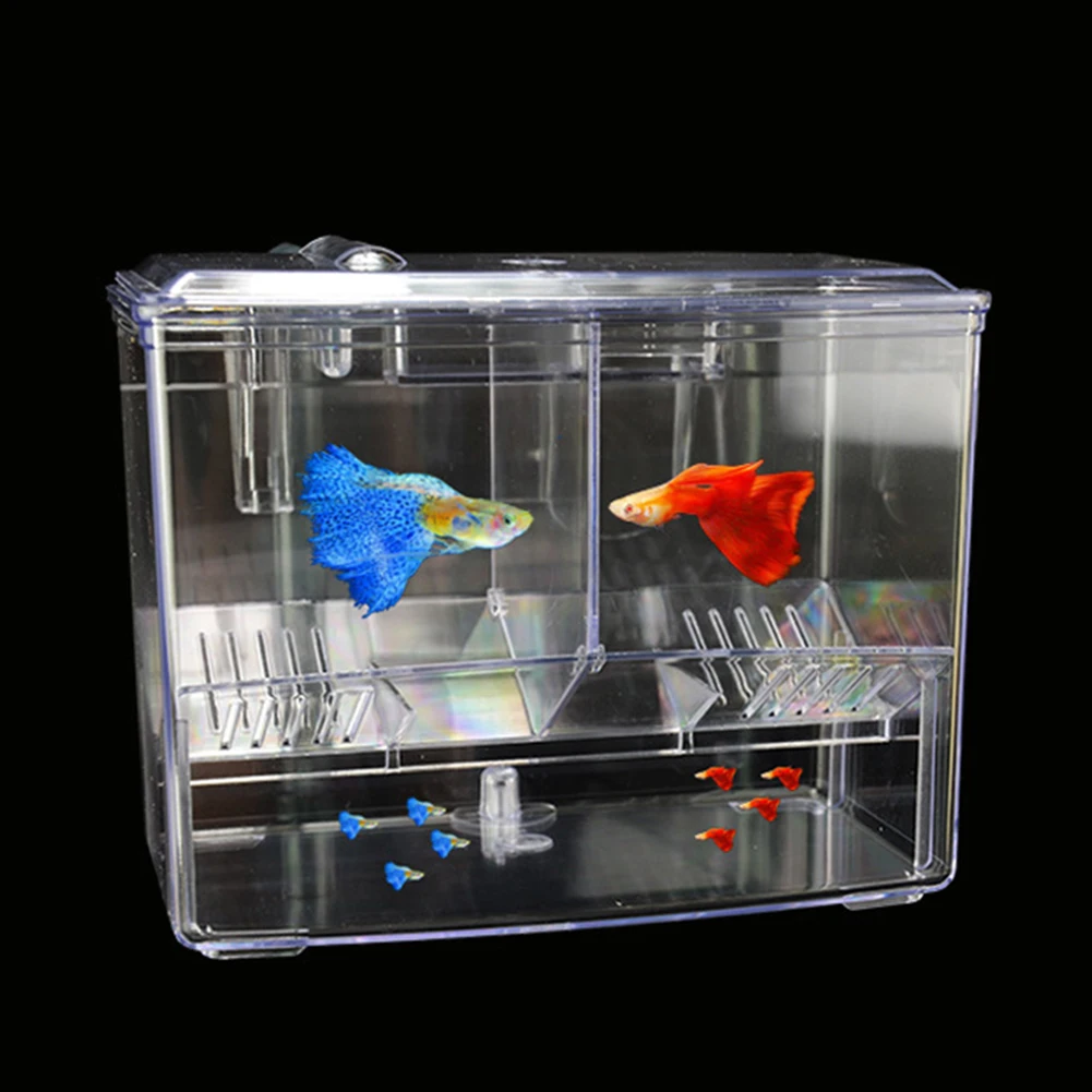 Aquarium Vis Kweekdoos voor Aq - Pet Supplies Fish recensie en prijs