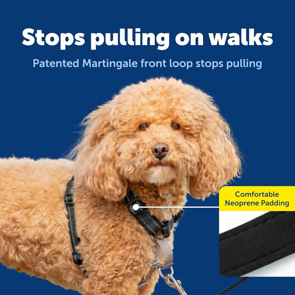 3-in-1 No-Pull Hondentuig - Wa - No Pull Dog Harness recensie en prijs