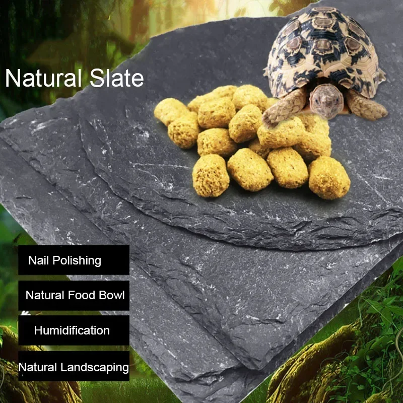 Natuurlijk Leisteen Aquarium R - Pet Supplies Fish recensie en prijs