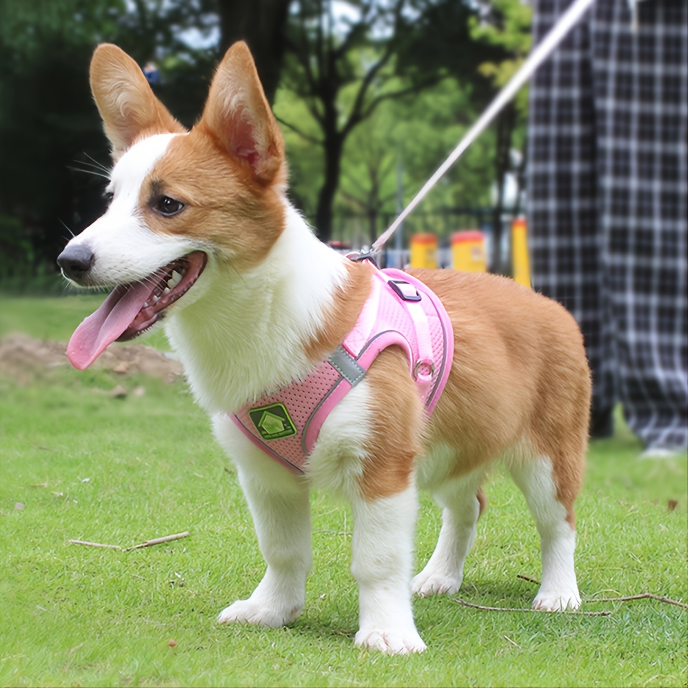 Reflecterende harnas en riemse - No Pull Dog Harness recensie en prijs