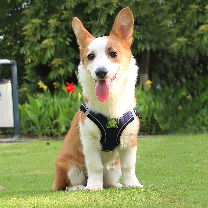Reflecterende harnas en riemse - No Pull Dog Harness recensie en prijs