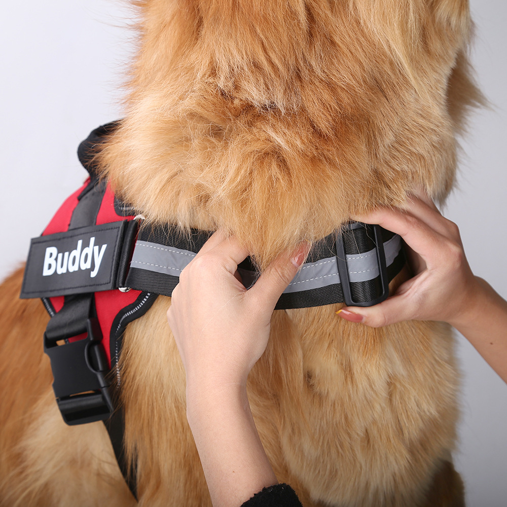 Op maat gemaakt reflecterend a - No Pull Dog Harness recensie en prijs