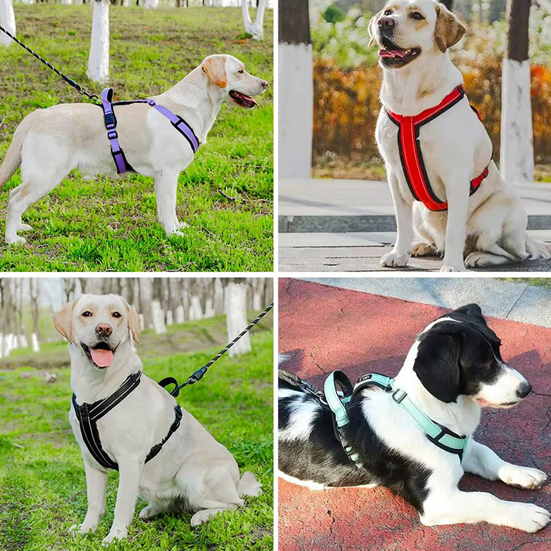 Nieuw harnas voor huisdieren N - No Pull Dog Harness recensie en prijs