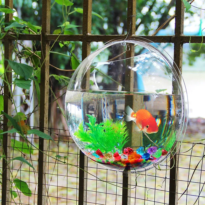 Pinsjar Acryl Viskom Muuropkno - Pet Supplies Fish recensie en prijs