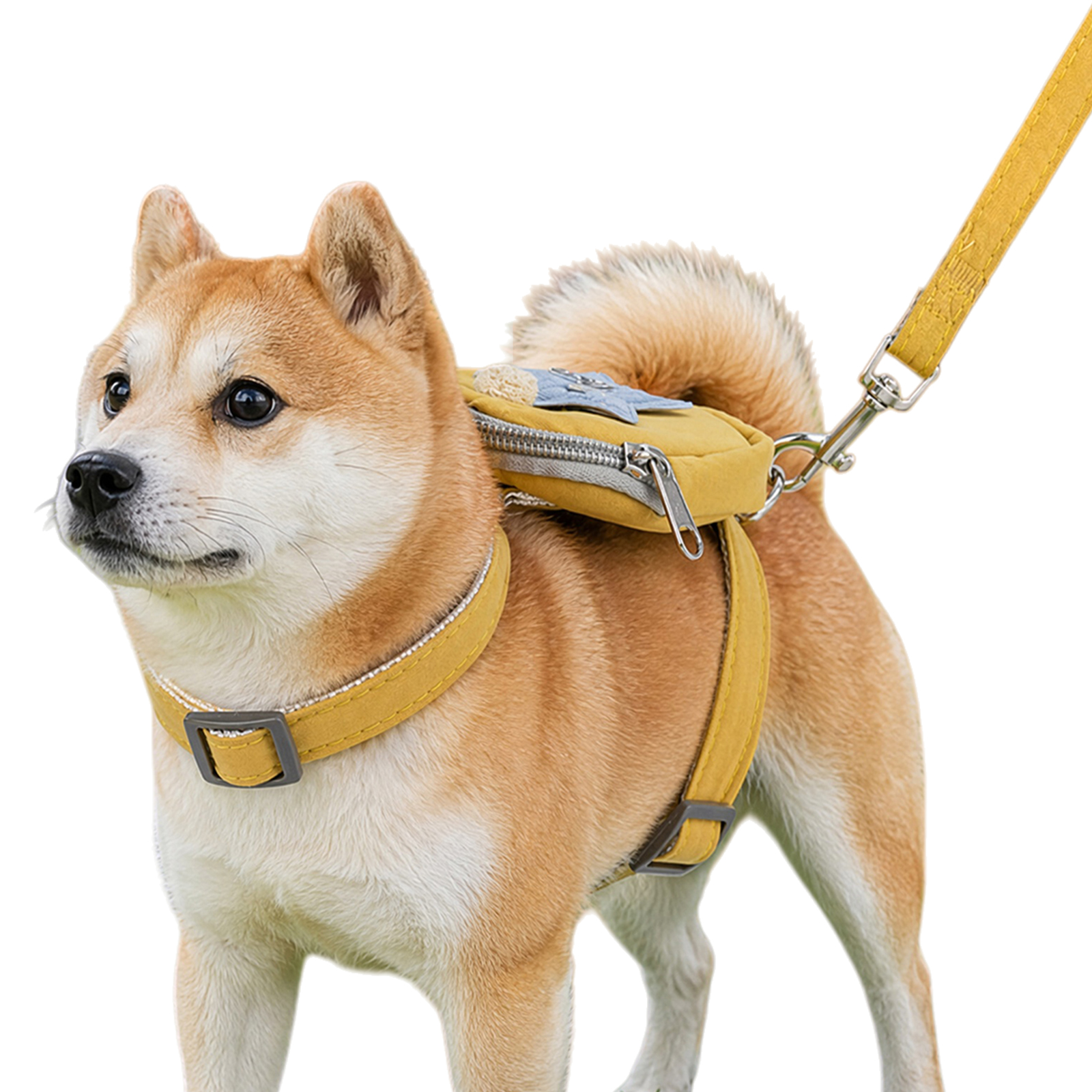 Hondentuig met afneembare rugz - No Pull Dog Harness recensie en prijs