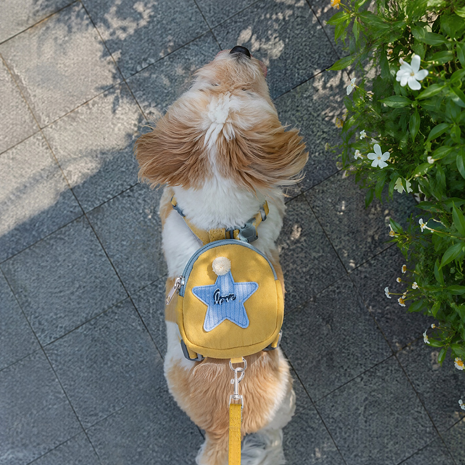 Hondentuig met afneembare rugz - No Pull Dog Harness recensie en prijs