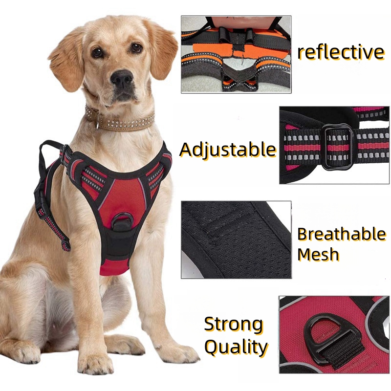 Geen Trek Hondentuig Grote Hon - No Pull Dog Harness recensie en prijs