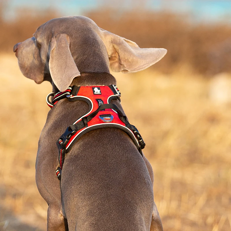 Truelove huisdier reflecterend - No Pull Dog Harness recensie en prijs