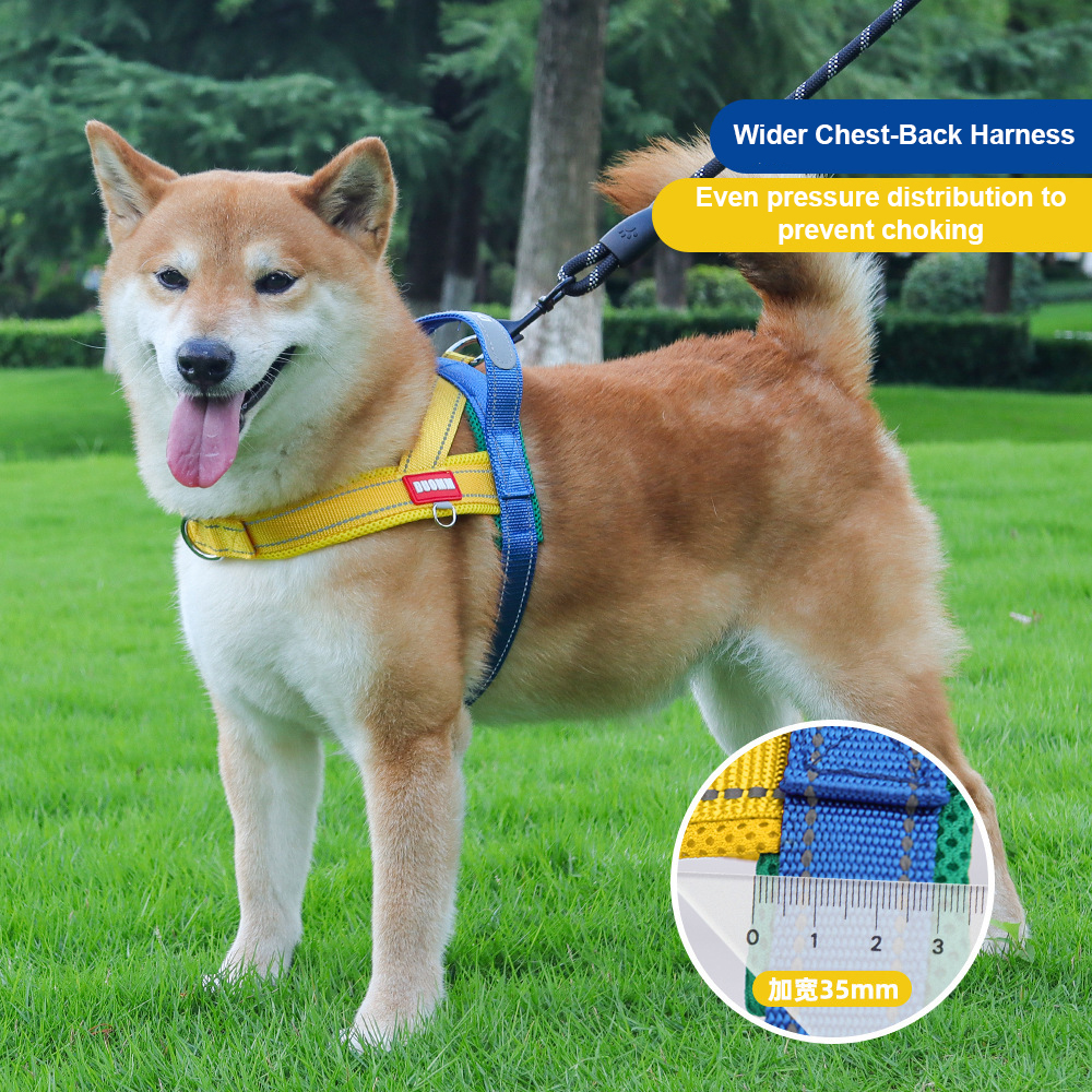 Hondentuig Geen Trek Zadelmode - No Pull Dog Harness recensie en prijs