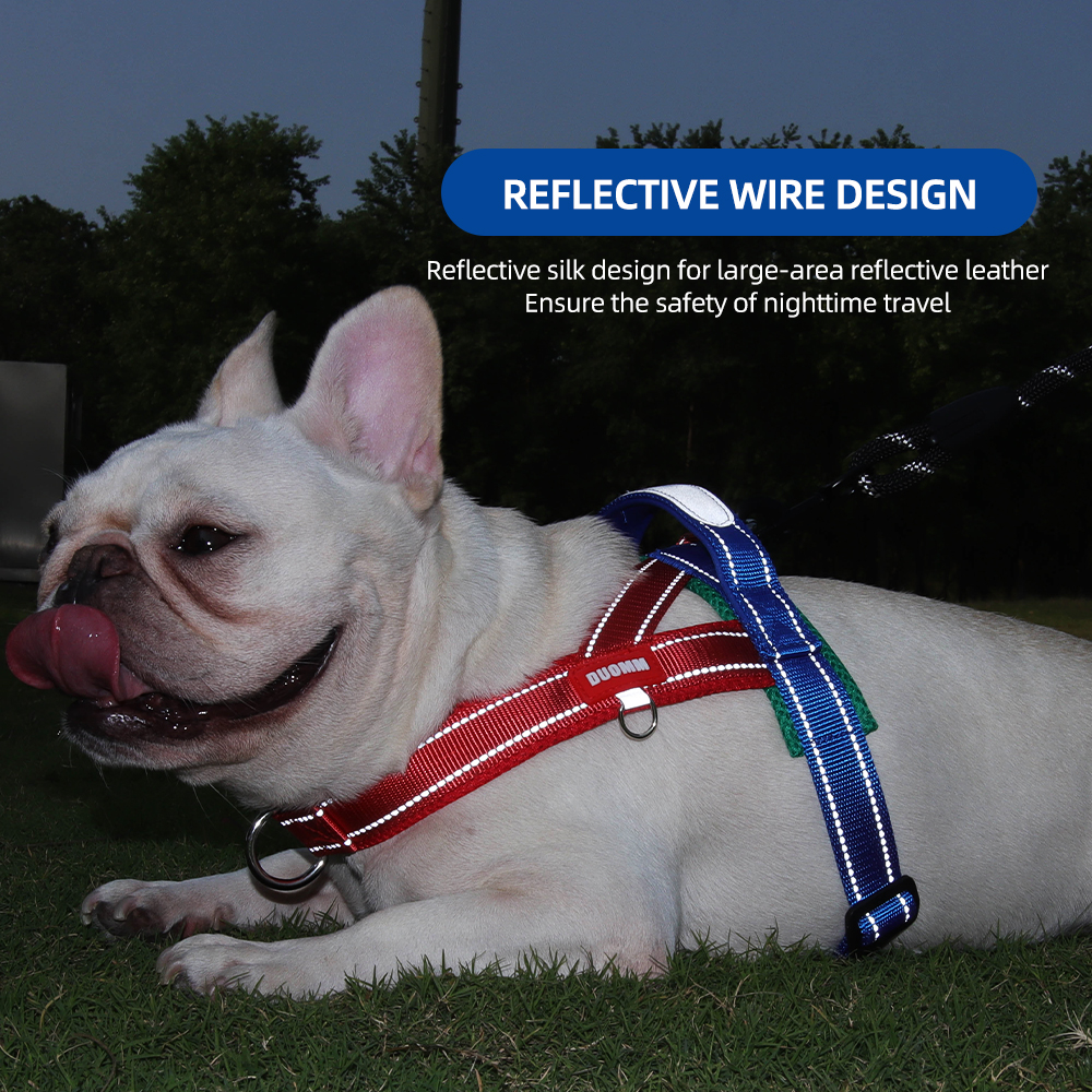 Hondentuig Geen Trek Zadelmode - No Pull Dog Harness recensie en prijs