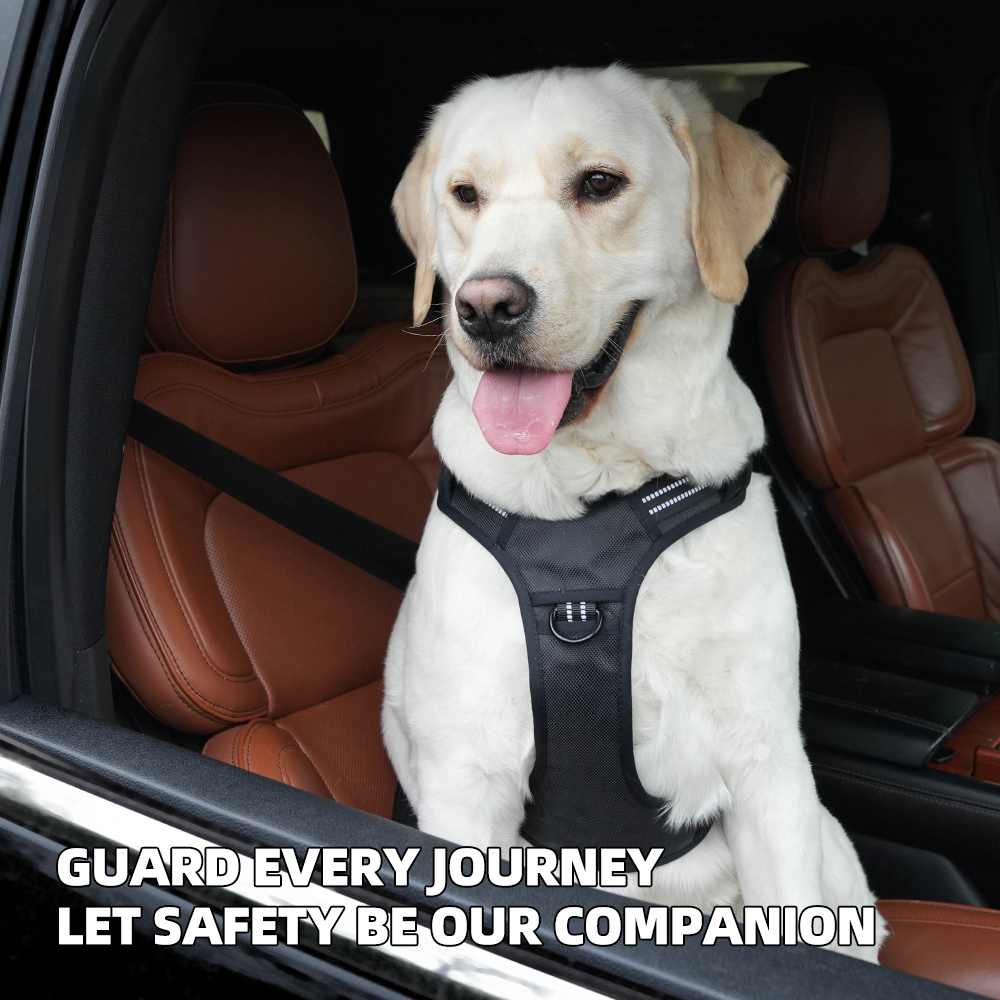 Autoveiligheidsharnas voor hon - No Pull Dog Harness recensie en prijs