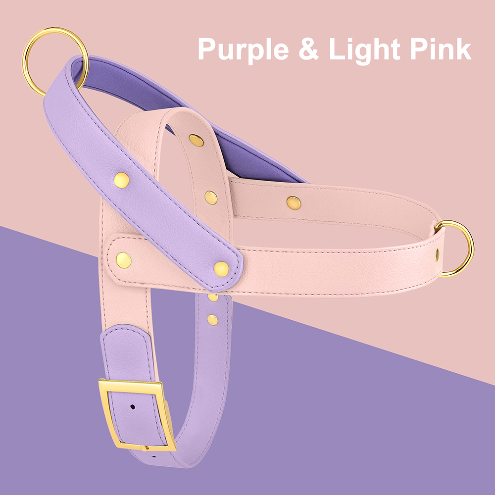 Lederen Hondentuig Zonder Trek - No Pull Dog Harness recensie en prijs